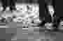 Monstre d humanite 21 * 4368 x 2912 * (3.56MB)